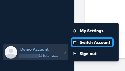 Account Details - Account Switching.png